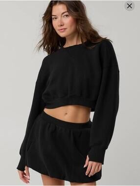 NWT OFFLINE By Aerie Cloud Fleece Cropped Crewneck Sweatshirt L
